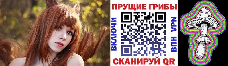 Купить закладки  Гвардейск  Галлюциногенные грибы прущие грибы 